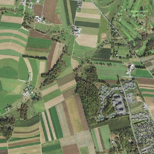 Person having a stroke near tree line drive in honey brook