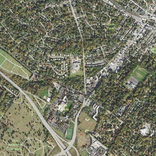79-year-old woman with chest pains at Chadwick Unit Commons
