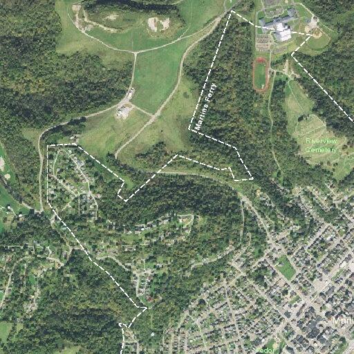 Loose dogs reported on Grandview Street