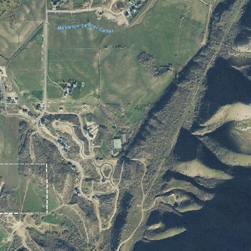 Animal problem reported on Mapleton Estates Drive