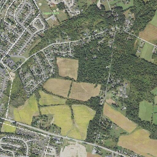Person reported sick near Park Avenue in Carroll Township