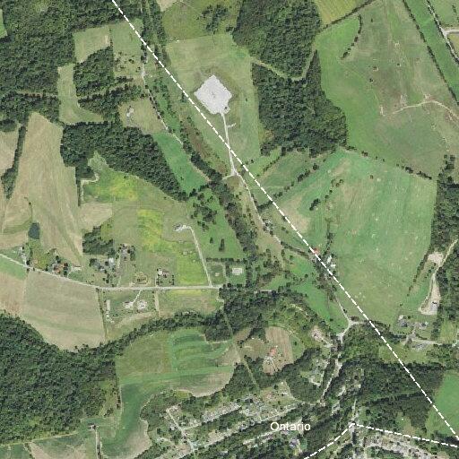 Woman vomiting and weak near Locust Lane