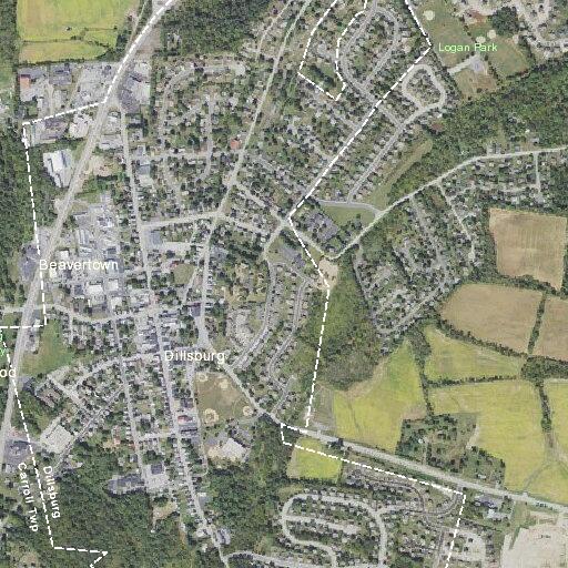 Woman aged 39 with urinary tract infection at residence