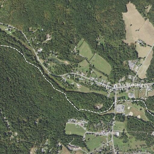 70-year-old male with fever at Forge Hill Road