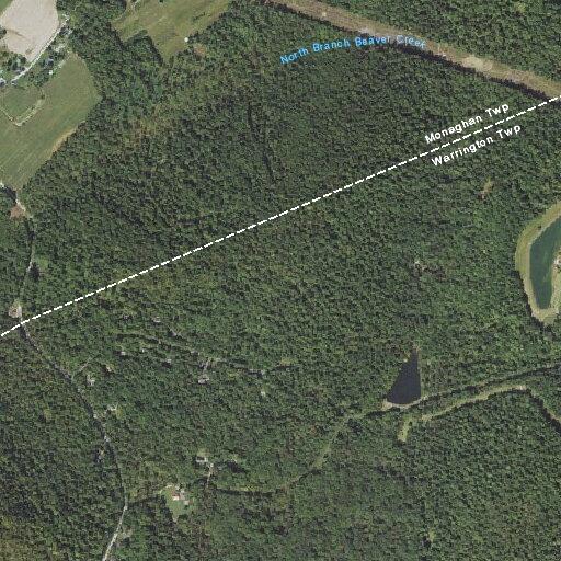 Psychiatric patient reported near Aspen Drive in Warrington Township