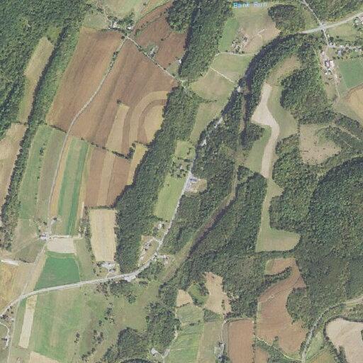 Man falls and needs lift assist near Raystown Road in Hopewell