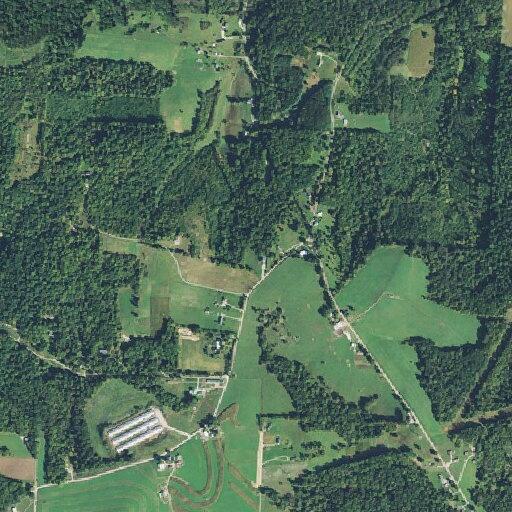 Large tree blocking Odell Road