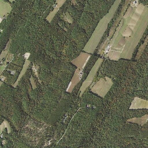 Person experiencing allergic reaction at (number withheld) Hollow Rd