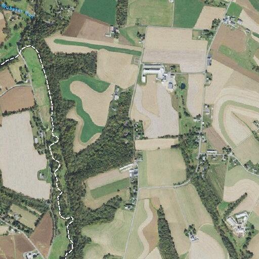 Person reported sick near Buckwalter Road, Manheim