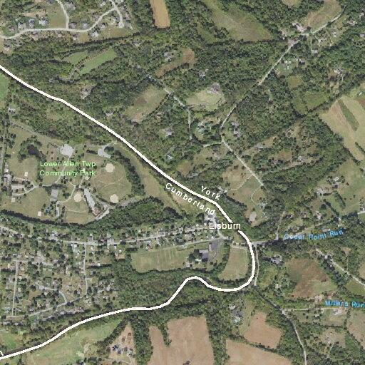 Tree partially blocking Trimmer Lane roadway