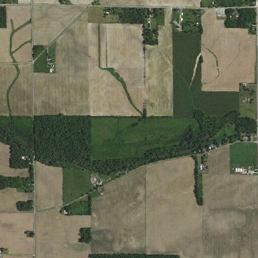 Loose cow reported on West Windsor Road