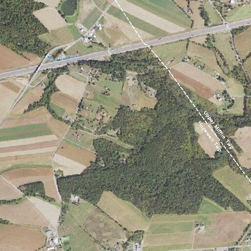 Person with diabetic emergency near Locust Drive in Hawkwell Township