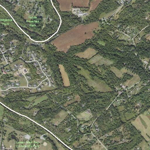 Road condition check on Willow Oak Drive
