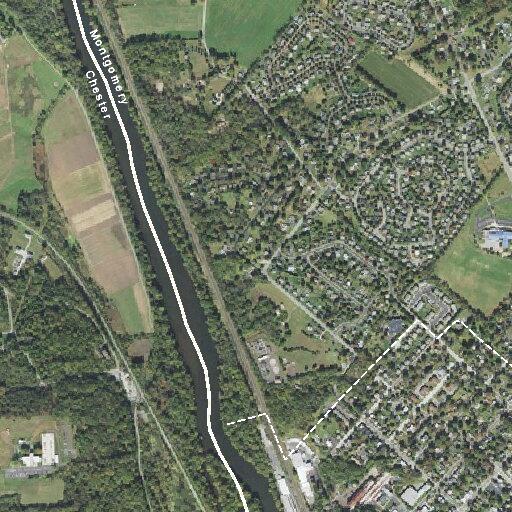 Person with amputation near Pine Street in Royersford