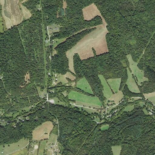 Tree blocking road on (number withheld) Mingo Creek Road