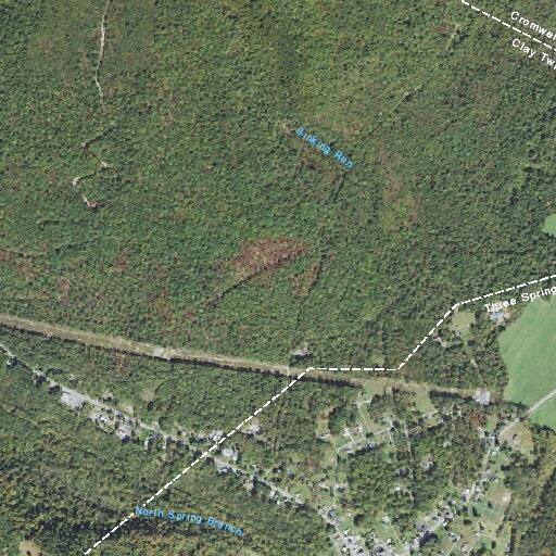 Person reports headache near Three Springs