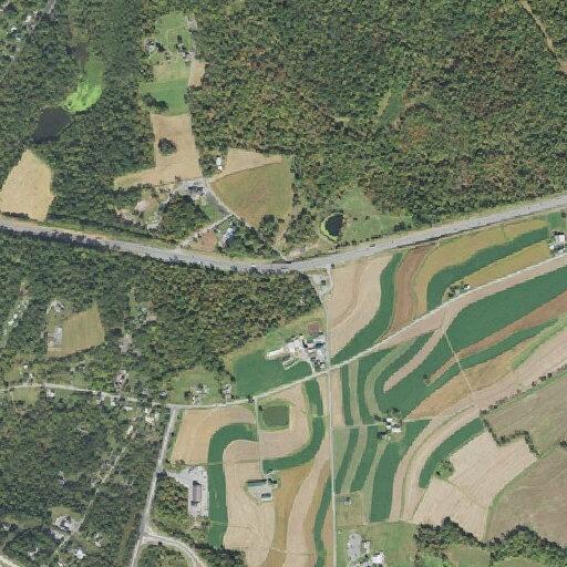 Possible stroke patient near schoolhouse road