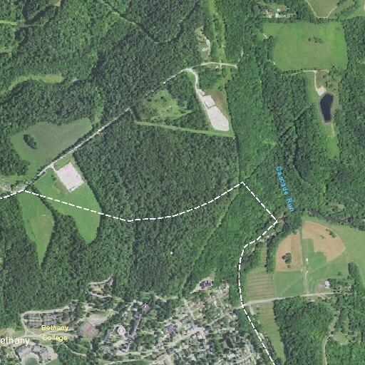 Elderly woman falls and may have broken hip in Bethany