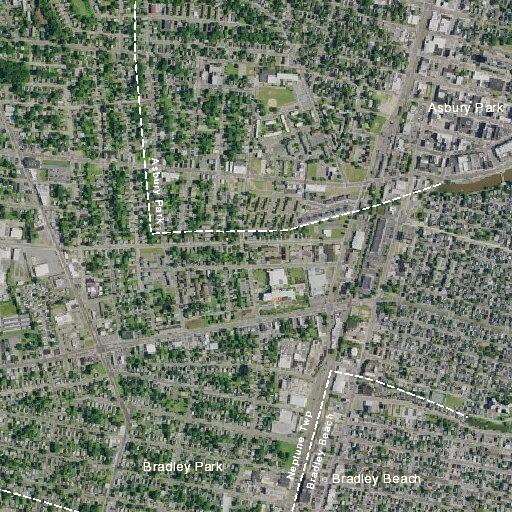 Female with concussion and panic attack near Lorraine Avenue