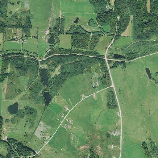 Elderly woman experiencing diarrhea at rural address