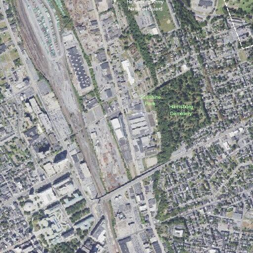 Animal bite incident at State and Brady streets