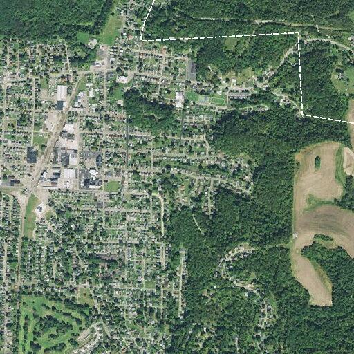 Medical alarm near Green Drive found accidental
