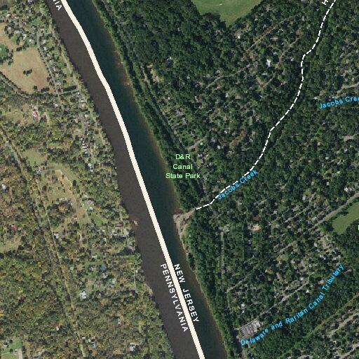 Loose dog reported in roadway at Cross and Andrew