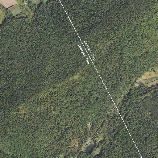 Person having a stroke near Back Hollow Road in Tyrone Township