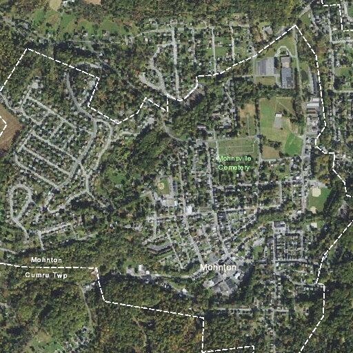 Basic life support needed at 52 Main Street, Mountain Borough