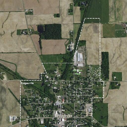 Elderly man falls unconscious from low blood pressure