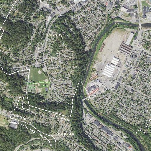 63-year-old woman dizzy with leg swelling in Johnstown