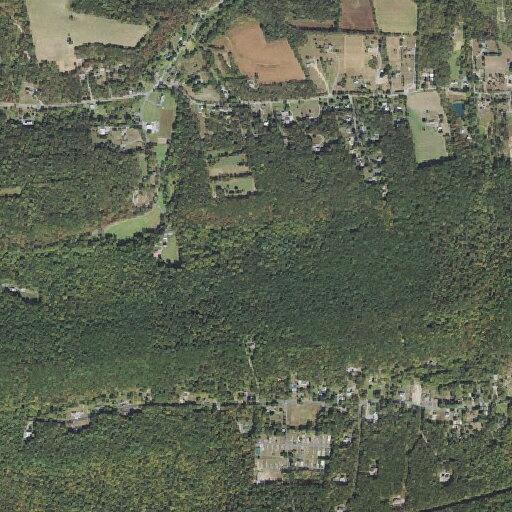 Person with breathing problems on Fox Hollow Road