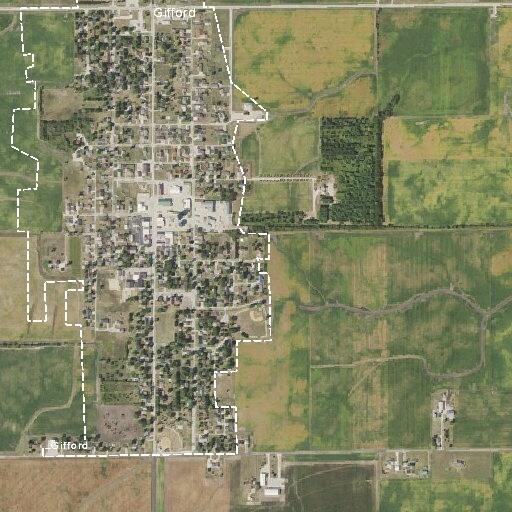 Ongoing small dog issue reported in Gifford