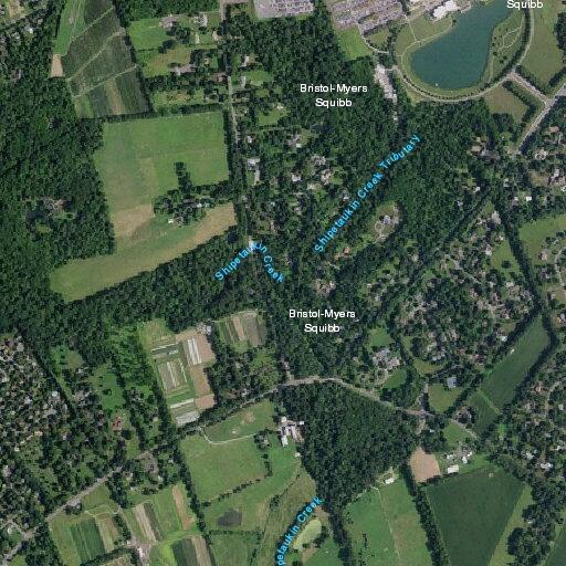 92-year-old male with altered mental status in Lawrence Township