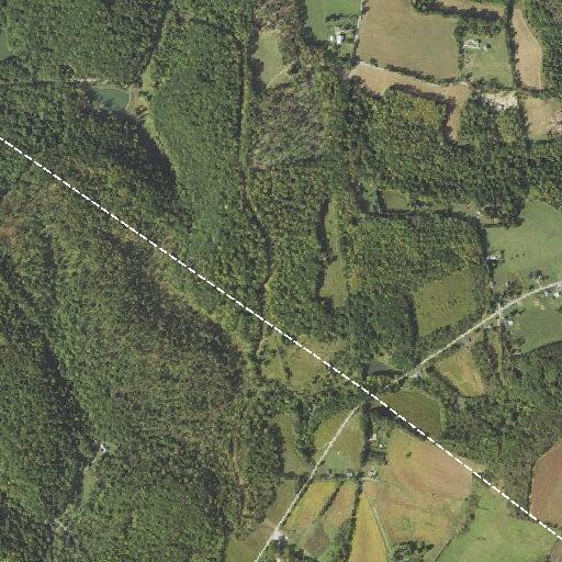 Tree and wires down on Route 259 in Ligonier