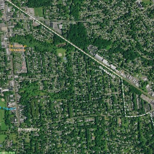Cardiac arrest at White Cross on Sycamore Avenue