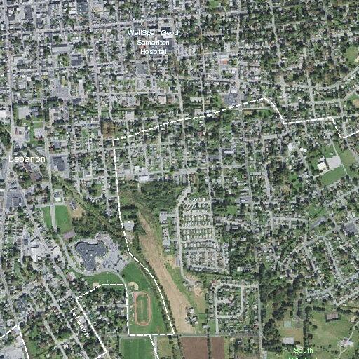 Person fell near Elizabeth Avenue in Lebanon
