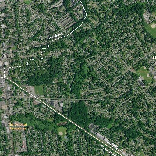 Child choking incident near Megan Drive