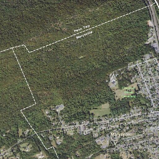 Person experiencing heart problems in Marysville