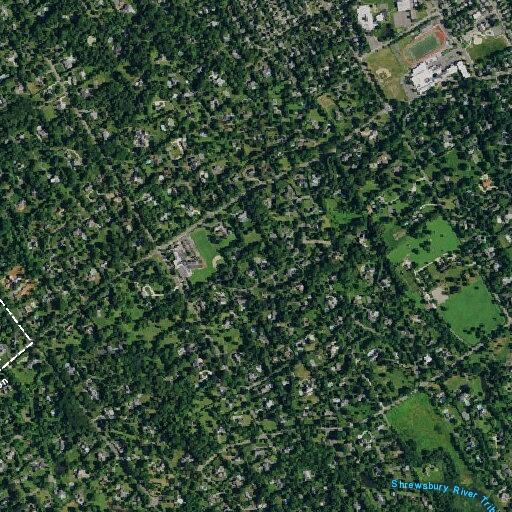 Smoke detector activation near Bellevue Avenue in Rumson