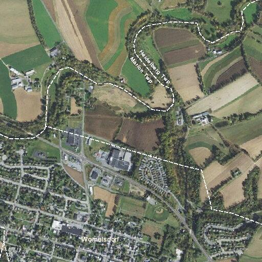 Woman in 70s with dementia threatened suicide in Womelsdorf
