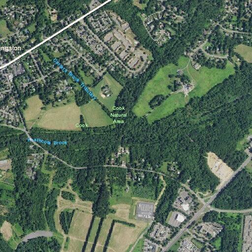 Man in 60s treated for foot infection in Princeton
