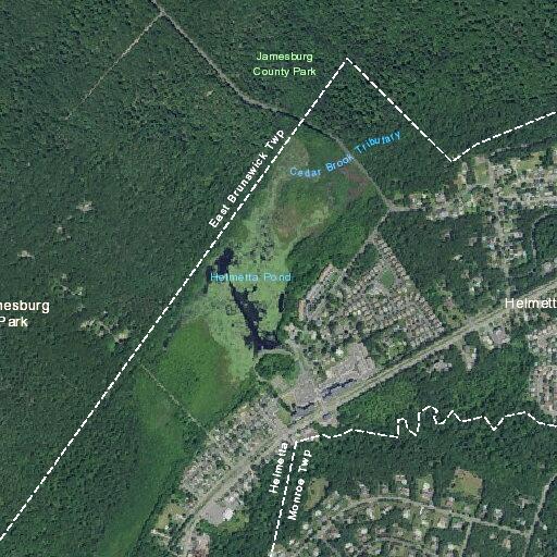 Child bitten by dog at (number withheld) Railroad Ave in Helmetta