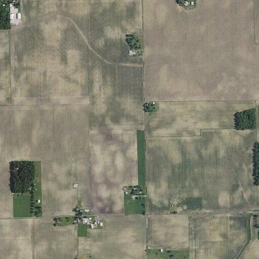Cow reported in roadway near North 1000 West in Sharpsville