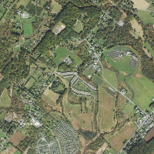 BLS trauma call near Songbird Court in Washington Township