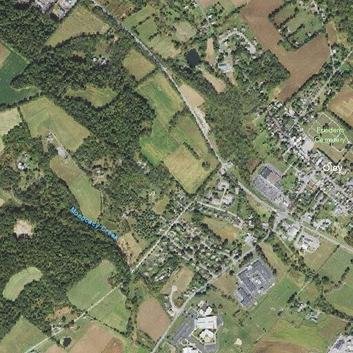 Elderly woman found unresponsive near Oley Meadows
