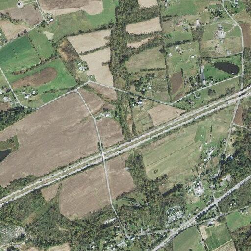 Person having a seizure near Jonestown Road