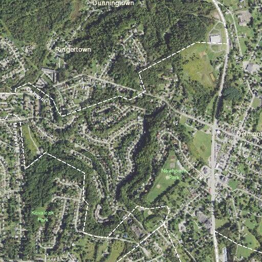 Elderly woman dizzy and nauseated at Manor Road