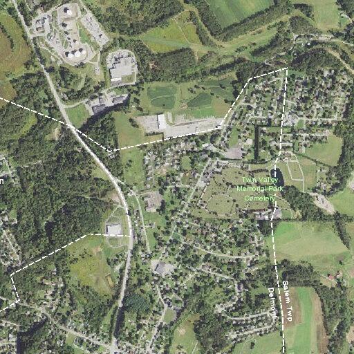 Teen male with abdominal pain and vomiting in delmont borough