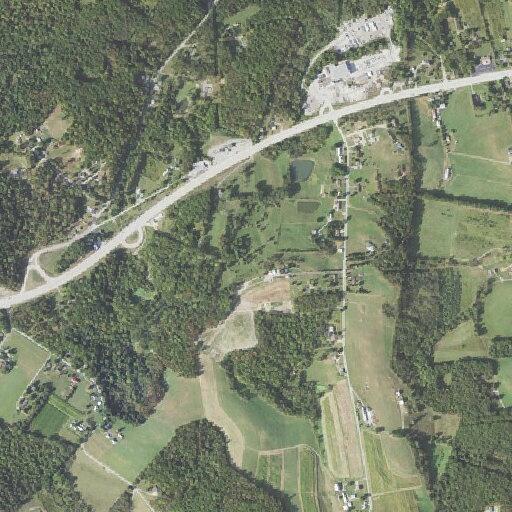Male falls at home near Auction Barn Road in Blairsville